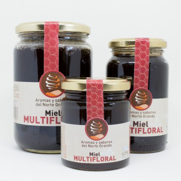 Miel mutifloral Sabores y Aromas del Norte Grande 250g - Imagen 3