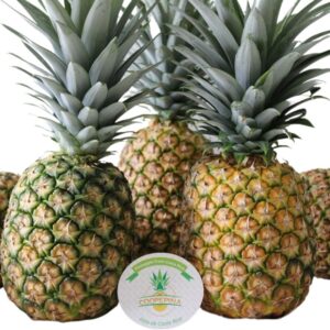 Piña Fresca Coopepiña Caja 11kg
