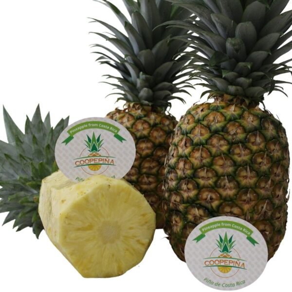 Piña Fresca Coopepiña Caja 11kg - Imagen 2