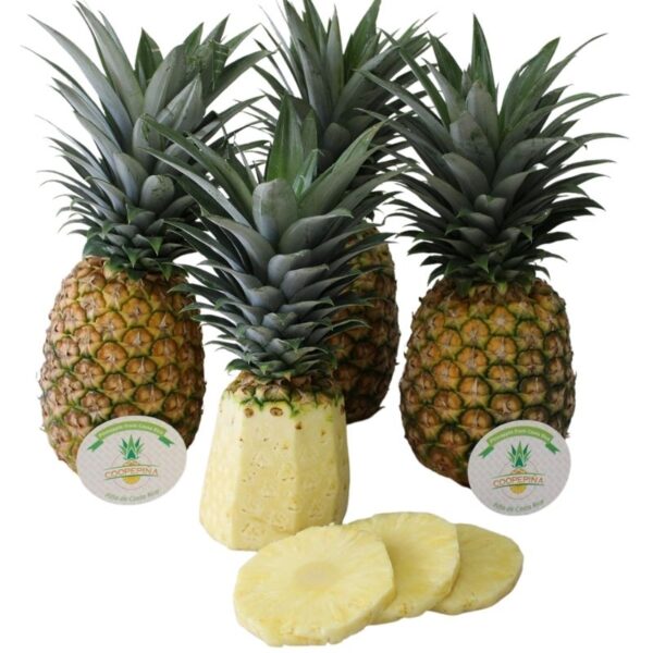Piña Fresca Coopepiña Caja 11kg - Imagen 3