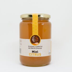 Miel monofloral de Citrus Sabores y Aromas del Norte Grande 900g