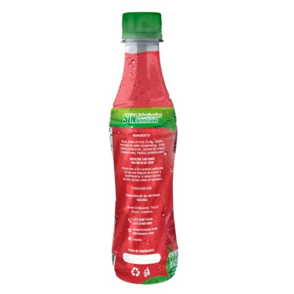 Refresco Delisur Mora - Imagen 2