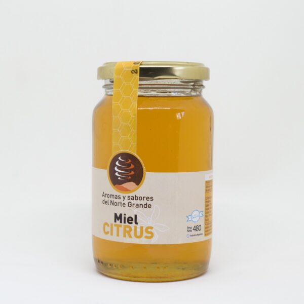 Miel monofloral de citrus Sabores y Aromas del Norte Grande 480g - Imagen 2