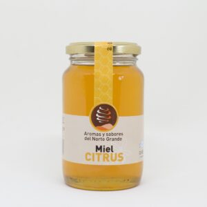 Miel monofloral de citrus Sabores y Aromas del Norte Grande 480g