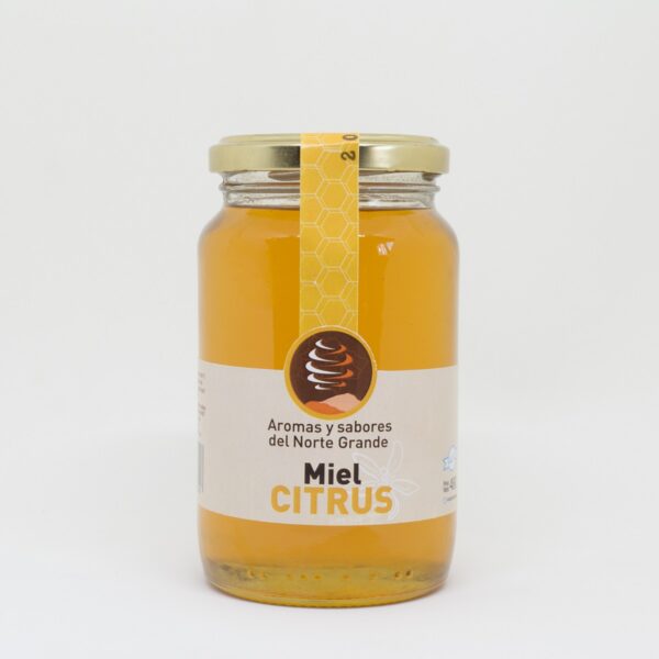 Miel monofloral de citrus Sabores y Aromas del Norte Grande 480g