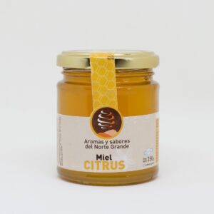Miel monofloral de citrus Sabores y Aromas del Norte Grande 250g