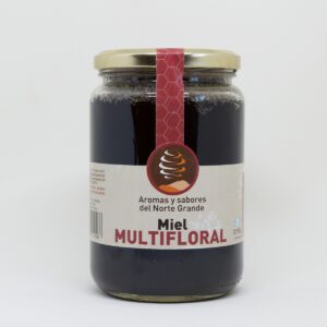 Miel mutifloral Sabores y Aromas del Norte Grande 900g