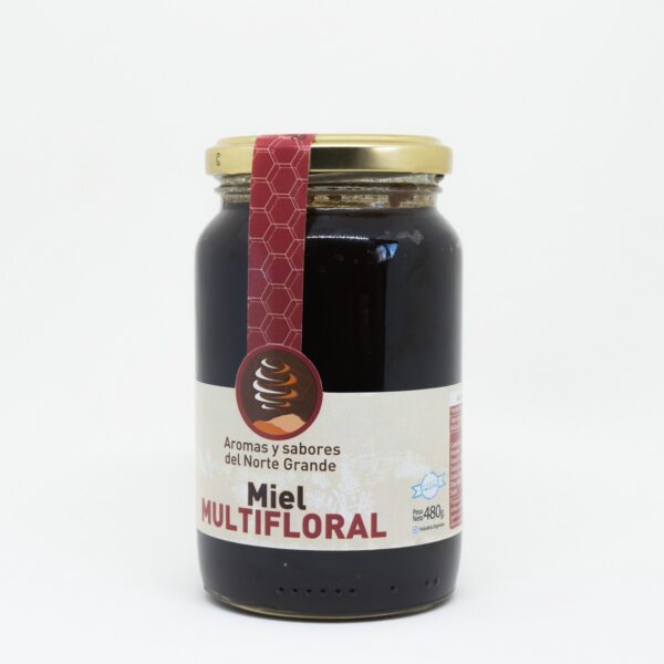 Miel mutifloral Sabores y Aromas del Norte Grande 480g - Imagen 2