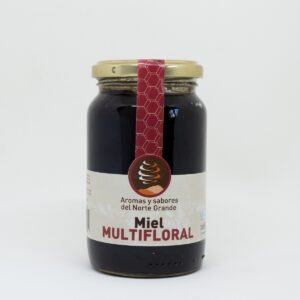 Miel mutifloral Sabores y Aromas del Norte Grande 480g