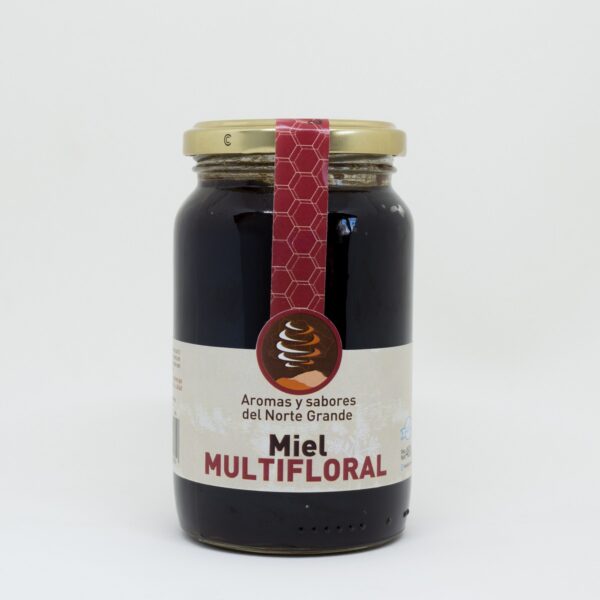 Miel mutifloral Sabores y Aromas del Norte Grande 480g