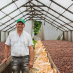 <strong>FairInsight:</strong><br>una herramienta para difundir el impacto del Comercio Justo