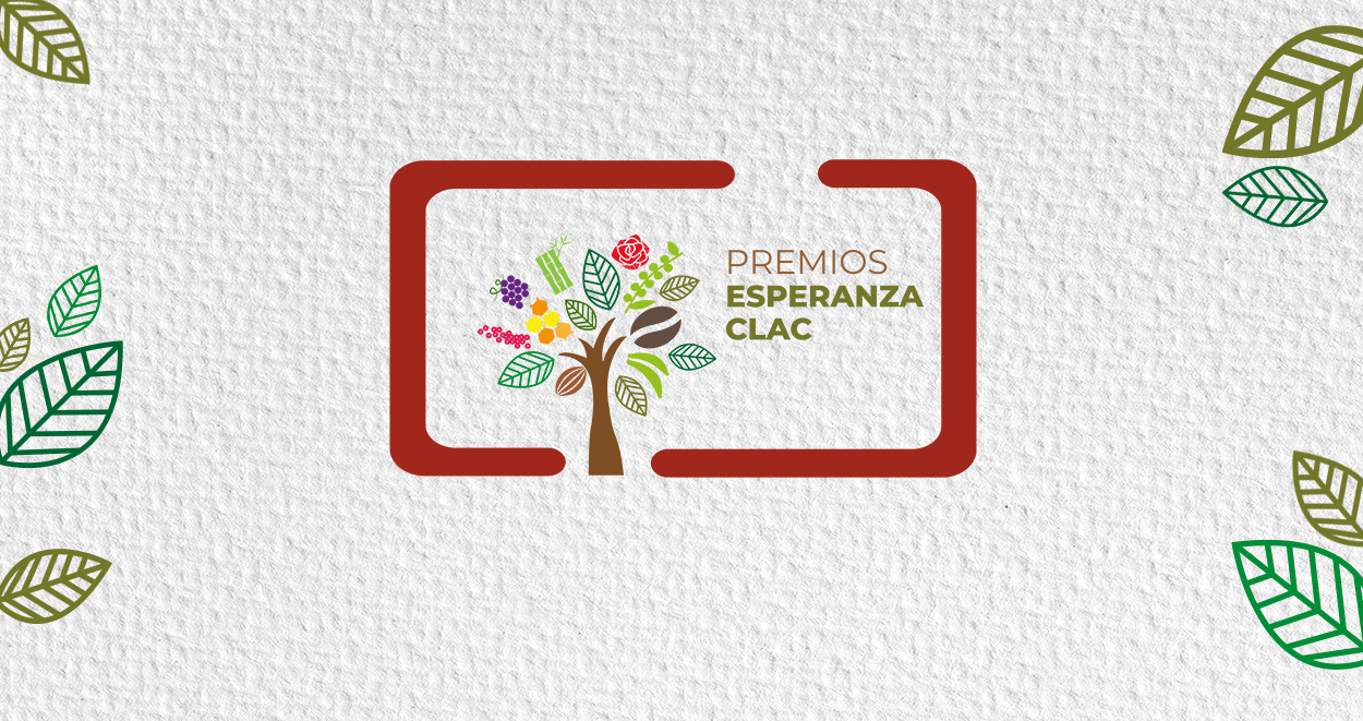 Bienvenidos(as) al espacio en donde podrás votar por tu proyecto preferido.